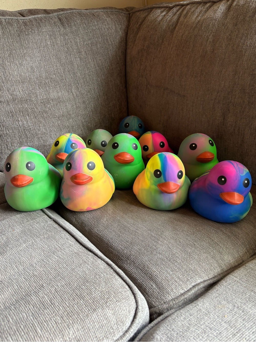 ❤️Squishy Duck Bundle❤️